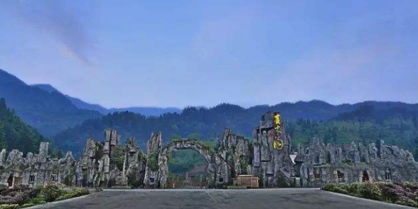 W020200220626830575360