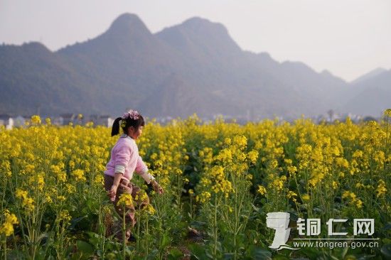 小朋友在油菜花田里玩耍（孙磊 摄）